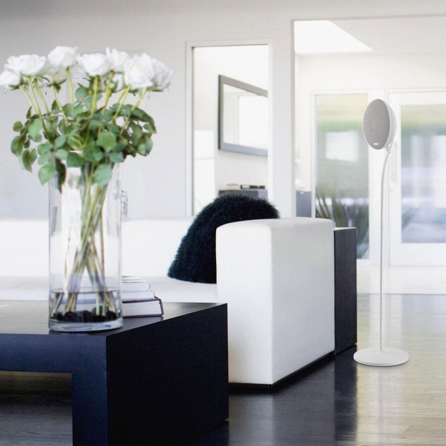 E301 Satellite Speaker